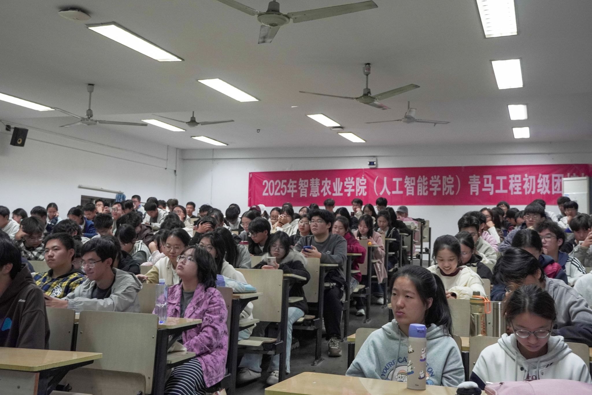 2026美加墨世界杯官网